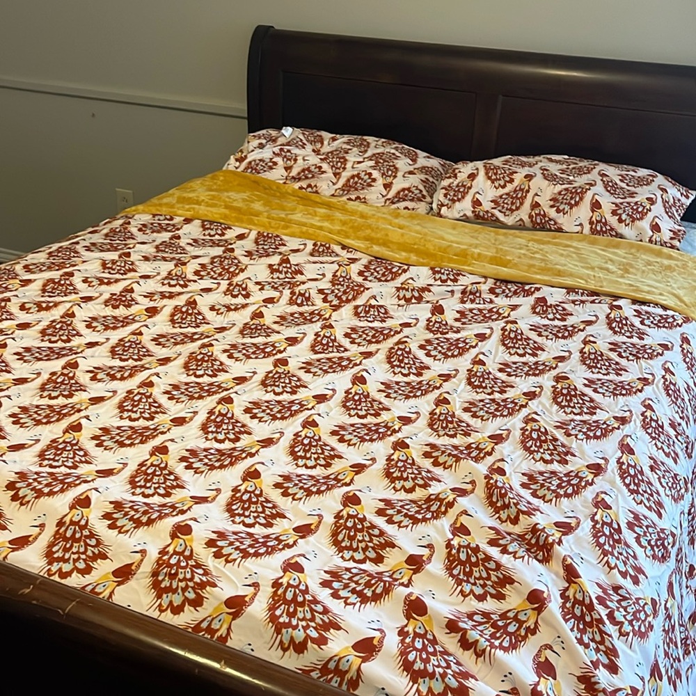 Opalhouse Jungalow Peacock Duvet & Shams
EUC Full/Queen